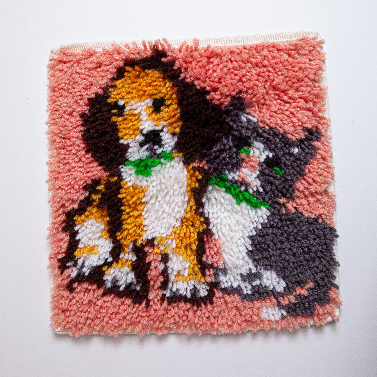 Puppy Dog Kitty Cat Design Latch Hook Yarn Wall Art Wall Hanging Fuzzy Rug