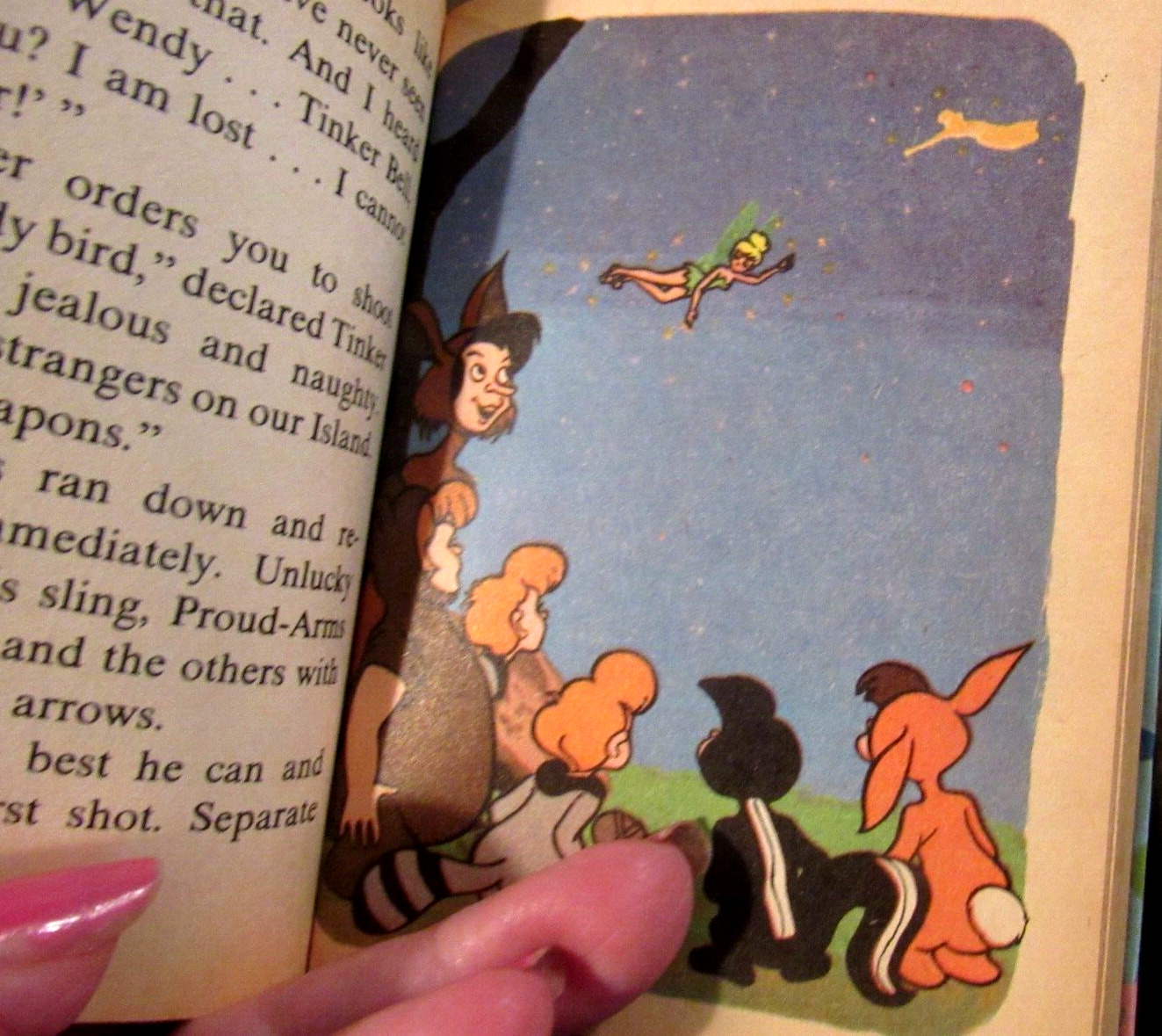 From Walt Disney Movie   Peter Pan, 1967 Pictures By W.disney Studio. 245pg Book