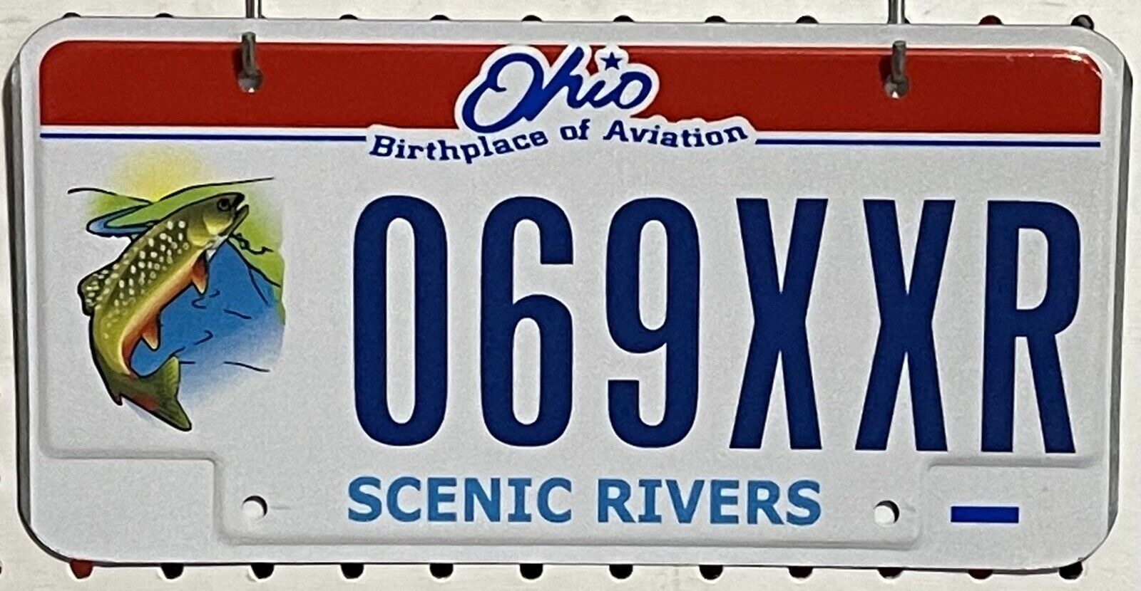 2004 Ohio Scenic Rivers License Plate Tag Fish Trout Logo 069xxr Wow!!! Oh