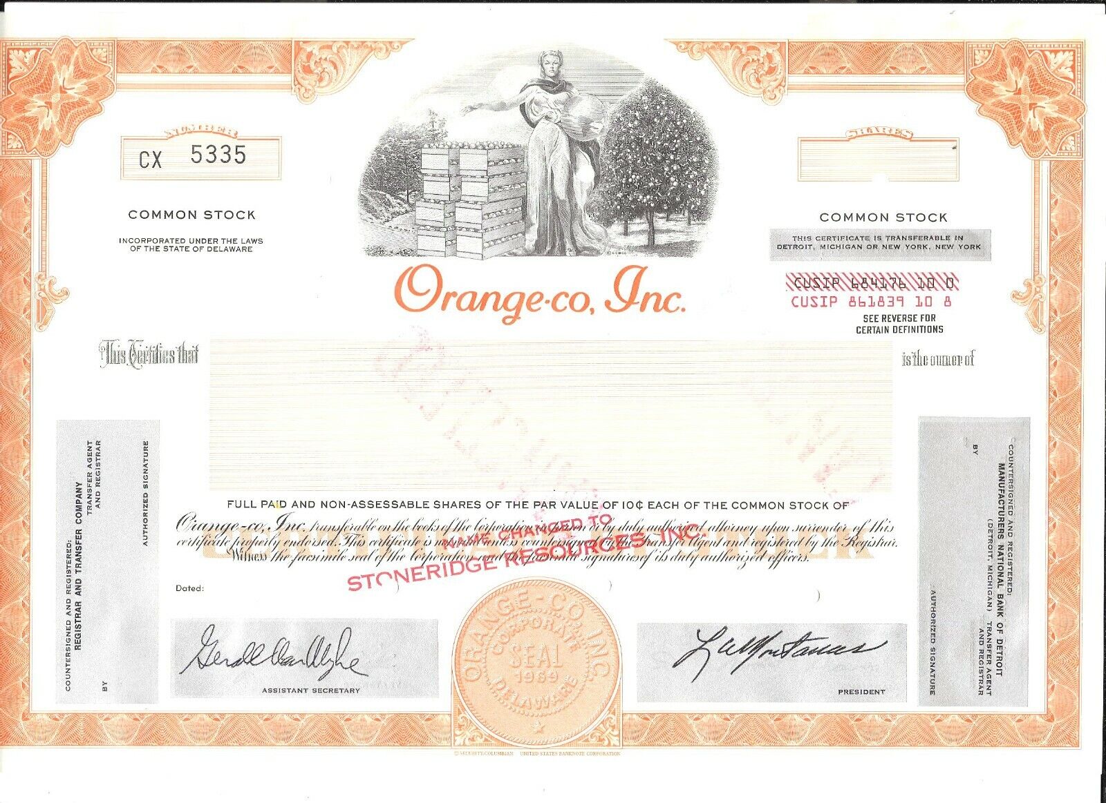 Rare Florida Orange Grower's Specimen Stock Sexy Ms. Picks Oranges Our Exclusive