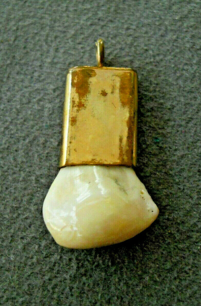 Southwestern Native American Navajo Elk Tooth In Vermeil, Gold? Pendant
